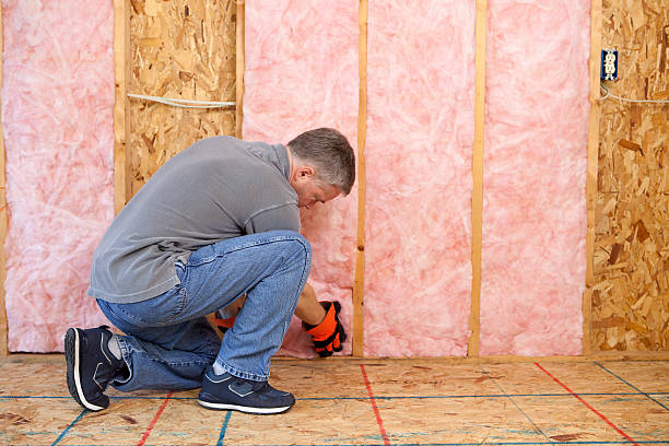 Best Soundproof Insulation Installation  in Cadillac, MI