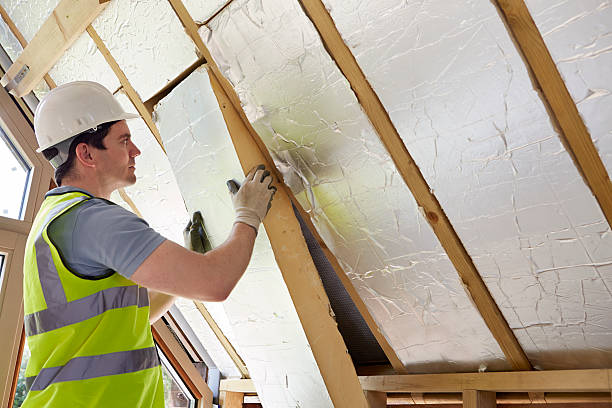 Best Energy-efficient Insulation  in Cadillac, MI